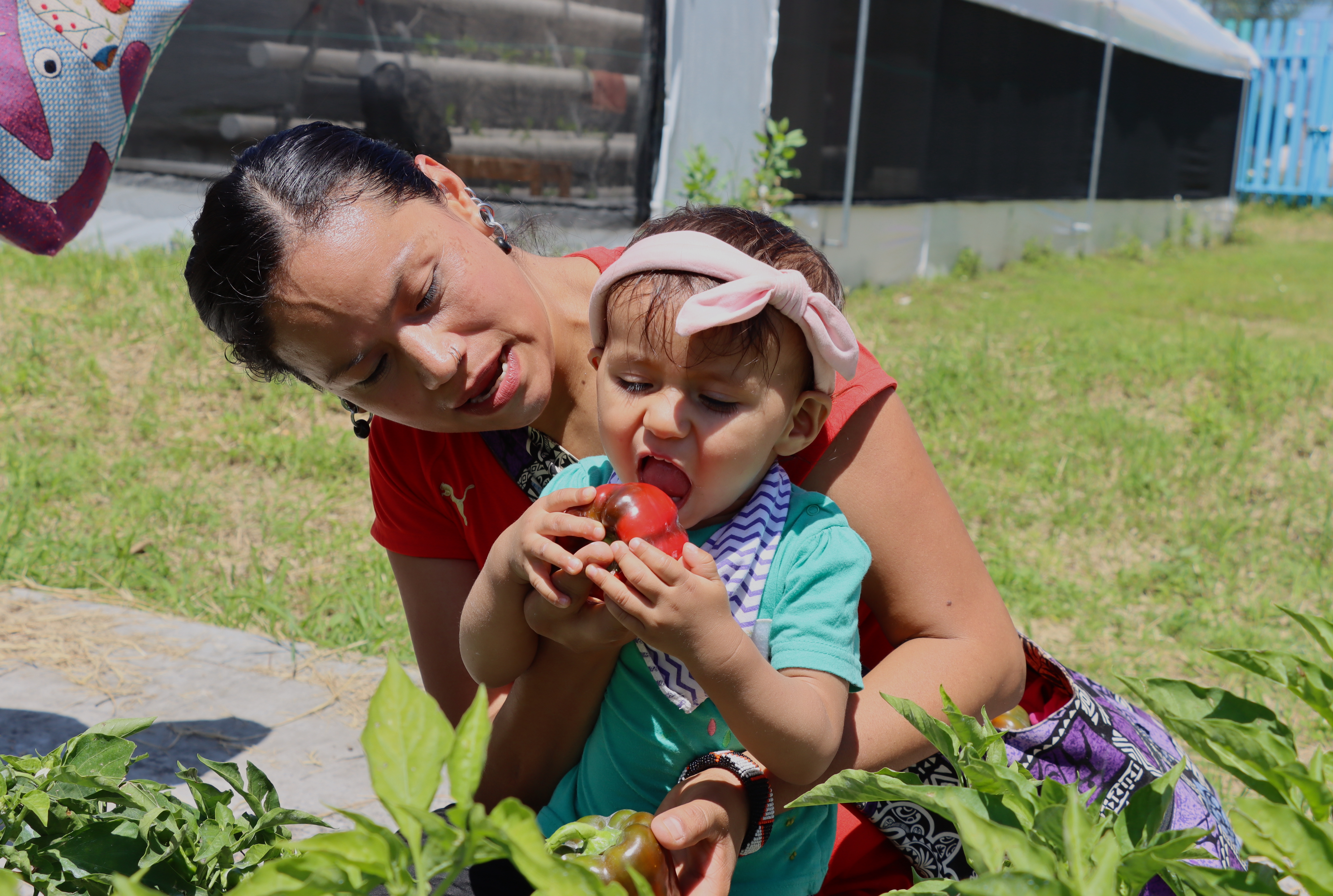 Niñas y niños de la Ludoteca Villa La Loma cosechan huerto urbano